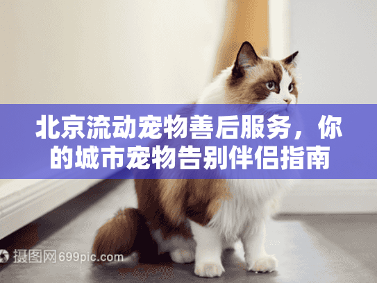 北京流动宠物善后服务，你的城市宠物告别伴侣指南