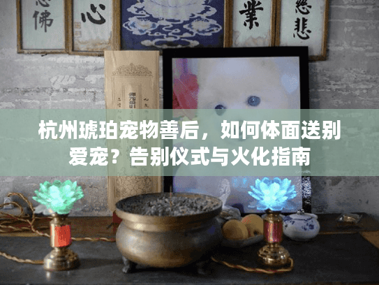杭州琥珀宠物善后，如何体面送别爱宠？告别仪式与火化指南