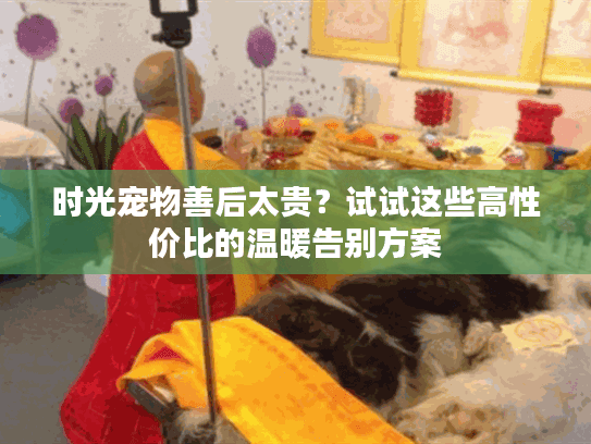 时光宠物善后太贵？试试这些高性价比的温暖告别方案