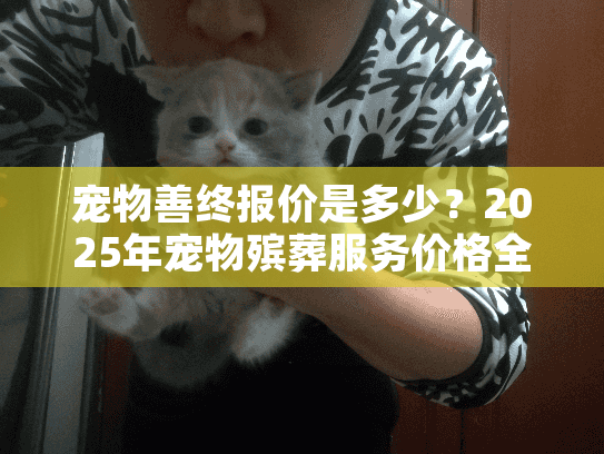 宠物善终报价是多少？2025年宠物殡葬服务价格全面解析