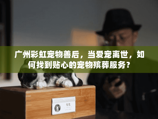 广州彩虹宠物善后，当爱宠离世，如何找到贴心的宠物殡葬服务？