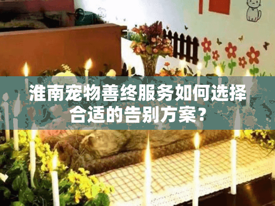 淮南宠物善终服务如何选择合适的告别方案？