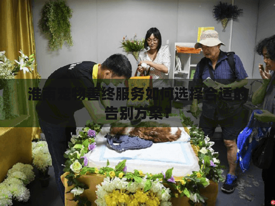 淮南宠物善终服务如何选择合适的告别方案？