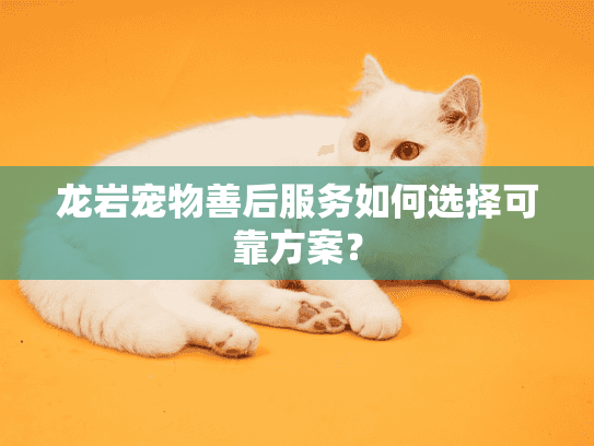 龙岩宠物善后服务如何选择可靠方案？