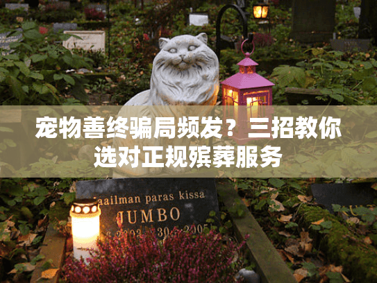 宠物善终骗局频发？三招教你选对正规殡葬服务