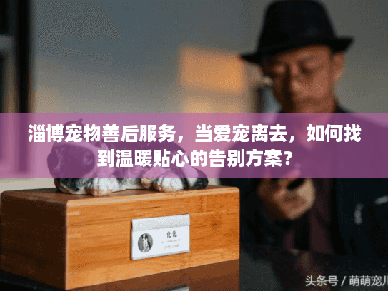 淄博宠物善后服务，当爱宠离去，如何找到温暖贴心的告别方案？