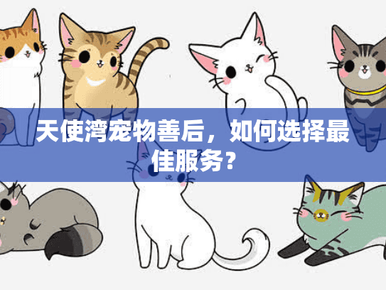 天使湾宠物善后，如何选择最佳服务？