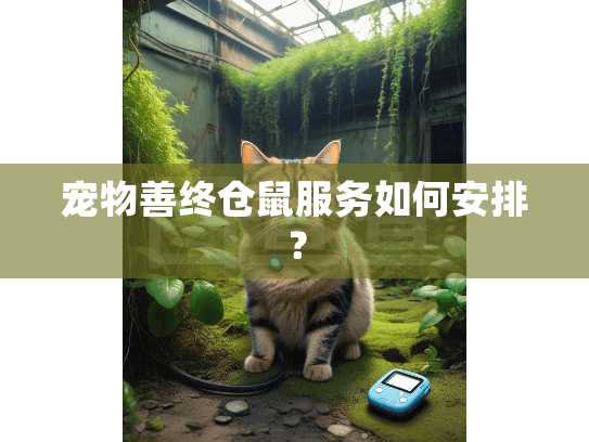 宠物善终仓鼠服务如何安排？