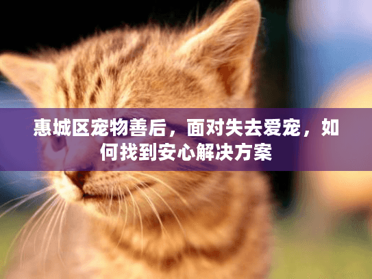 惠城区宠物善后，面对失去爱宠，如何找到安心解决方案