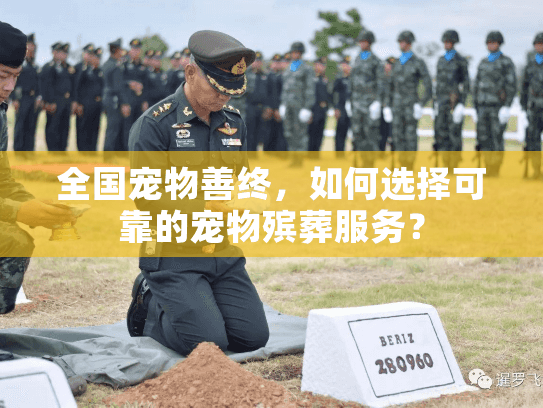 全国宠物善终，如何选择可靠的宠物殡葬服务？