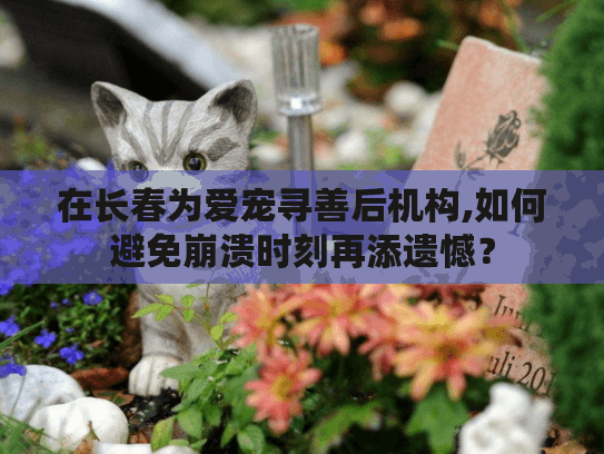 在长春为爱宠寻善后机构,如何避免崩溃时刻再添遗憾？