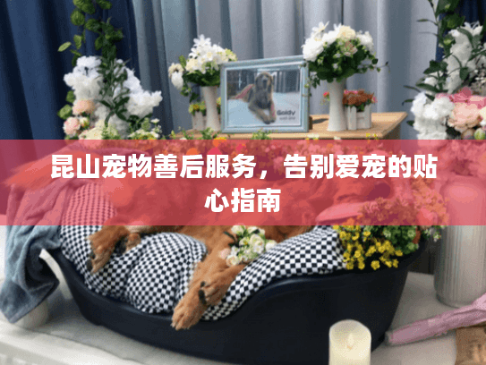 昆山宠物善后服务，告别爱宠的贴心指南