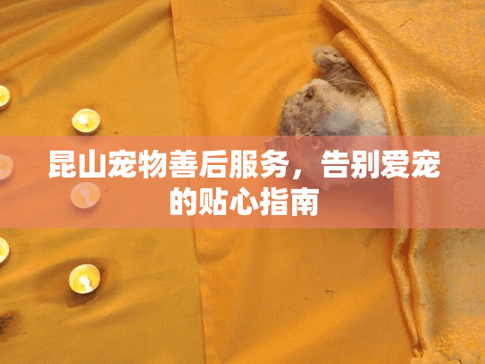 昆山宠物善后服务，告别爱宠的贴心指南