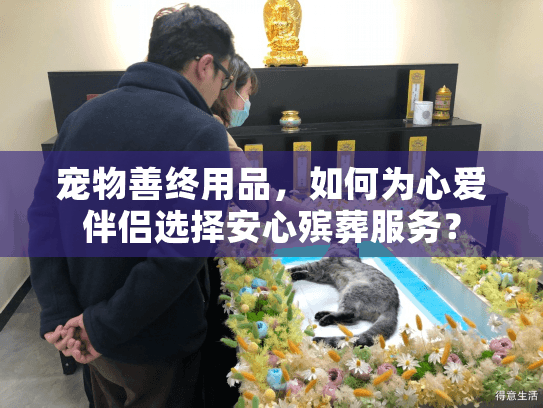 宠物善终用品，如何为心爱伴侣选择安心殡葬服务？
