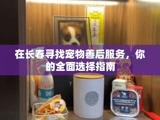 在长春寻找宠物善后服务，你的全面选择指南