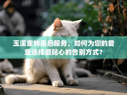 玉溪宠物善后服务，如何为您的爱宠选择最贴心的告别方式？