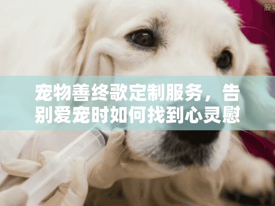 宠物善终歌定制服务，告别爱宠时如何找到心灵慰藉？