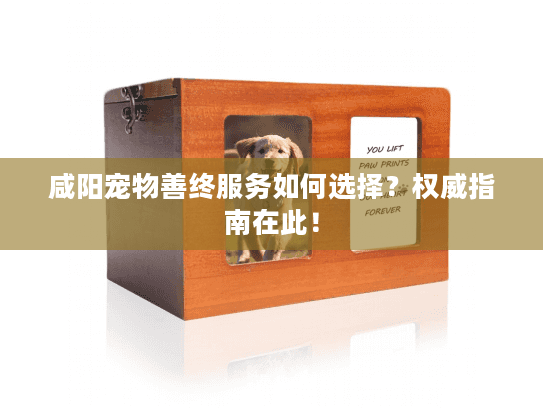 咸阳宠物善终服务如何选择？权威指南在此！