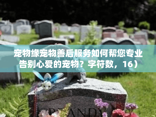 宠物缘宠物善后服务如何帮您专业告别心爱的宠物？字符数，16）