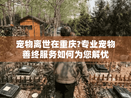 宠物离世在重庆?专业宠物善终服务如何为您解忧