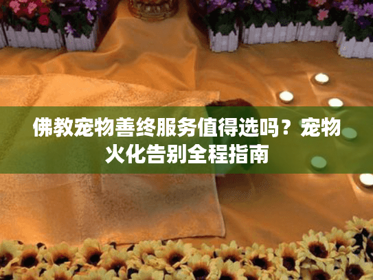 佛教宠物善终服务值得选吗？宠物火化告别全程指南