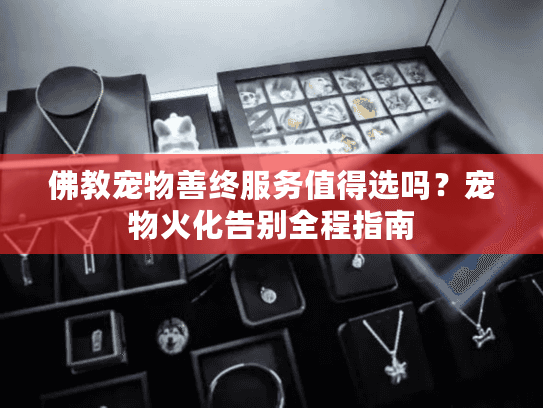 佛教宠物善终服务值得选吗？宠物火化告别全程指南