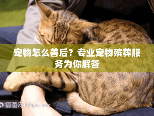 宠物怎么善后？专业宠物殡葬服务为你解答