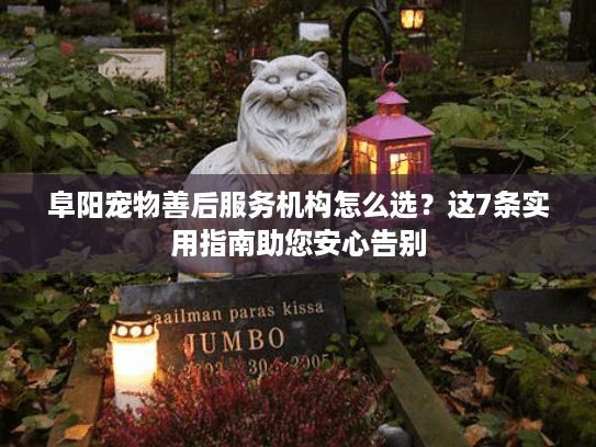 阜阳宠物善后服务机构怎么选？这7条实用指南助您安心告别