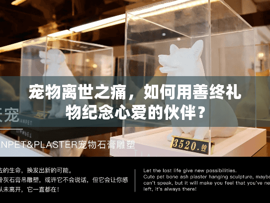 宠物离世之痛，如何用善终礼物纪念心爱的伙伴？