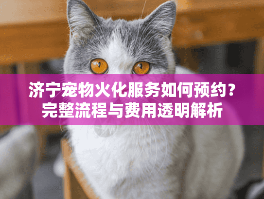 济宁宠物火化服务如何预约？完整流程与费用透明解析