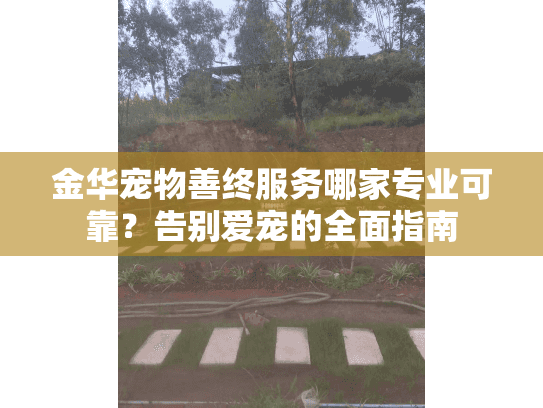金华宠物善终服务哪家专业可靠？告别爱宠的全面指南