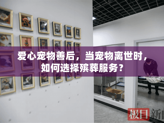 爱心宠物善后，当宠物离世时，如何选择殡葬服务？