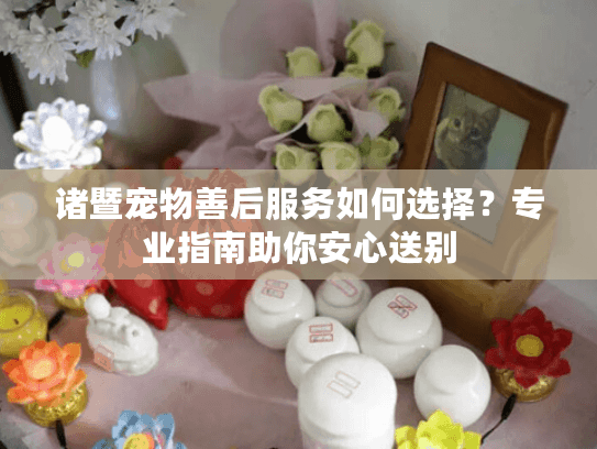 诸暨宠物善后服务如何选择？专业指南助你安心送别