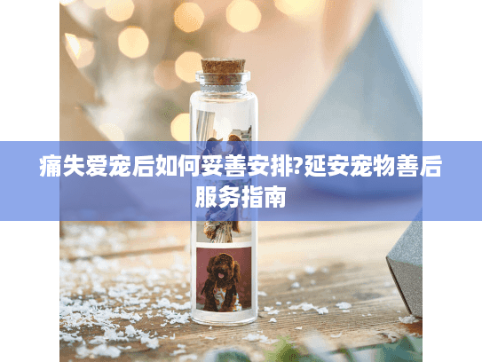 痛失爱宠后如何妥善安排?延安宠物善后服务指南
