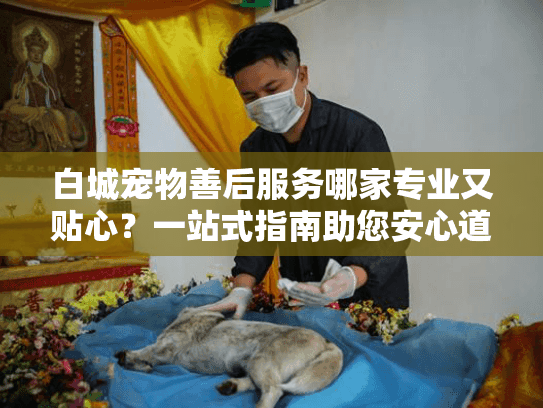 白城宠物善后服务哪家专业又贴心？一站式指南助您安心道别
