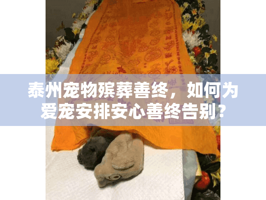 泰州宠物殡葬善终，如何为爱宠安排安心善终告别？