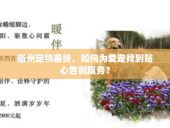 衢州宠物善终，如何为爱宠找到贴心告别服务？
