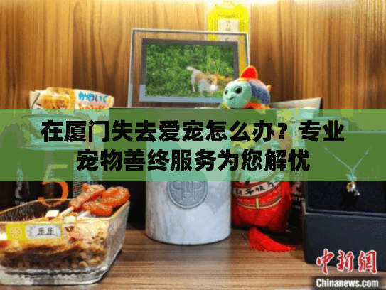 在厦门失去爱宠怎么办？专业宠物善终服务为您解忧