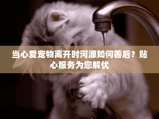 当心爱宠物离开时河源如何善后？贴心服务为您解忧