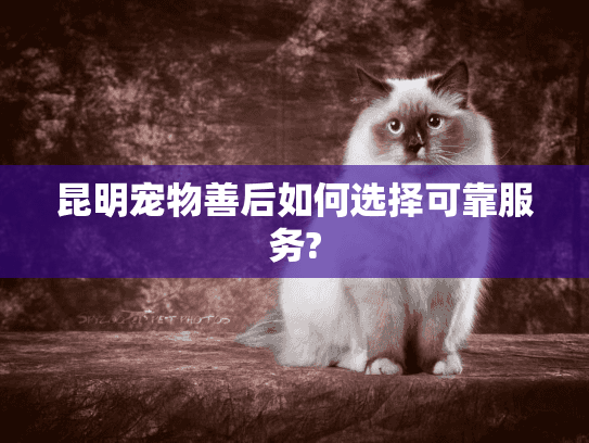 昆明宠物善后如何选择可靠服务?