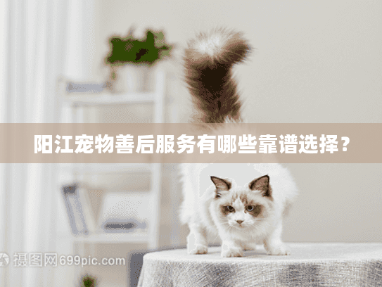 阳江宠物善后服务有哪些靠谱选择？