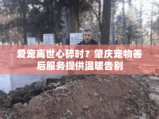 爱宠离世心碎时？肇庆宠物善后服务提供温暖告别