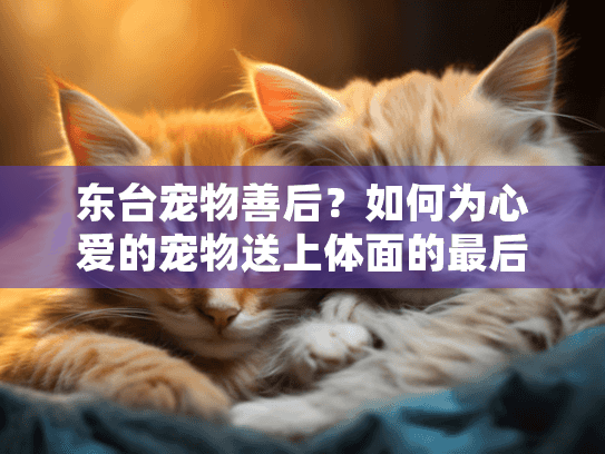 东台宠物善后？如何为心爱的宠物送上体面的最后一程