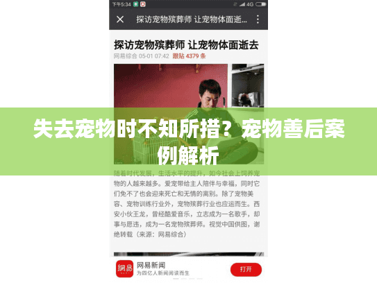 失去宠物时不知所措？宠物善后案例解析