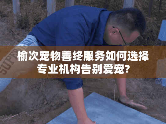 榆次宠物善终服务如何选择专业机构告别爱宠?