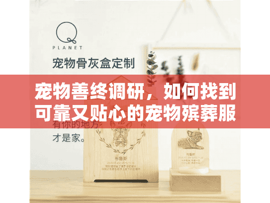 宠物善终调研，如何找到可靠又贴心的宠物殡葬服务？