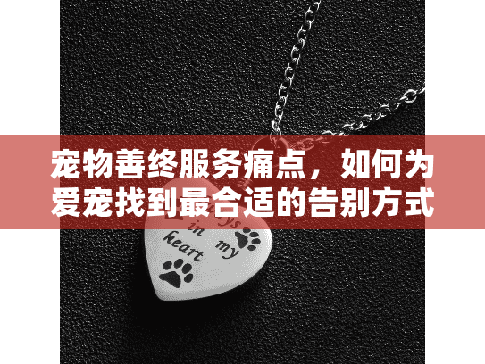 宠物善终服务痛点，如何为爱宠找到最合适的告别方式？
