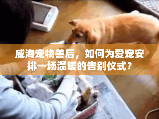 威海宠物善后，如何为爱宠安排一场温暖的告别仪式？
