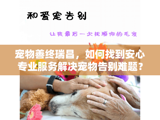 宠物善终瑞昌，如何找到安心专业服务解决宠物告别难题？