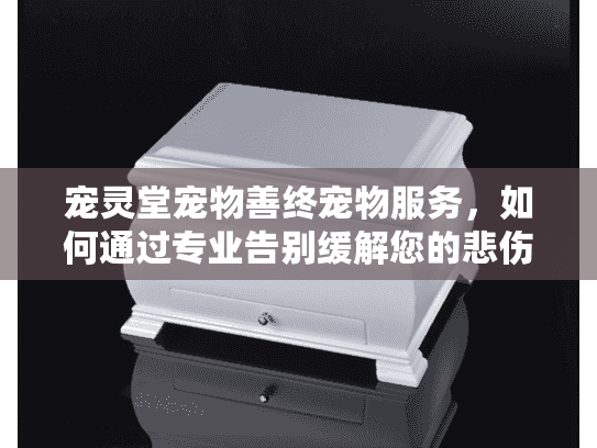 宠灵堂宠物善终宠物服务，如何通过专业告别缓解您的悲伤？